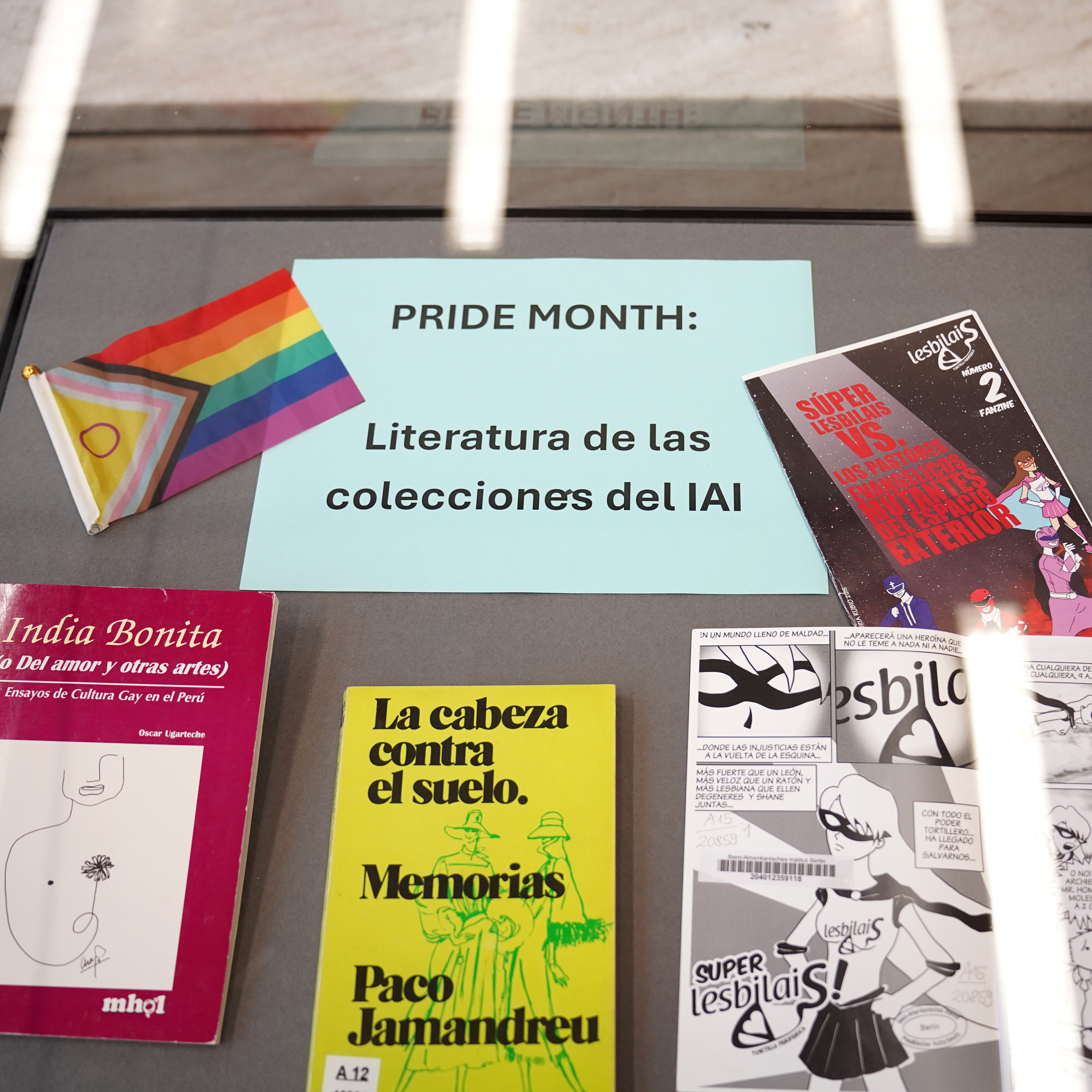 A view inside a display case filled with books (opens enlarged image)