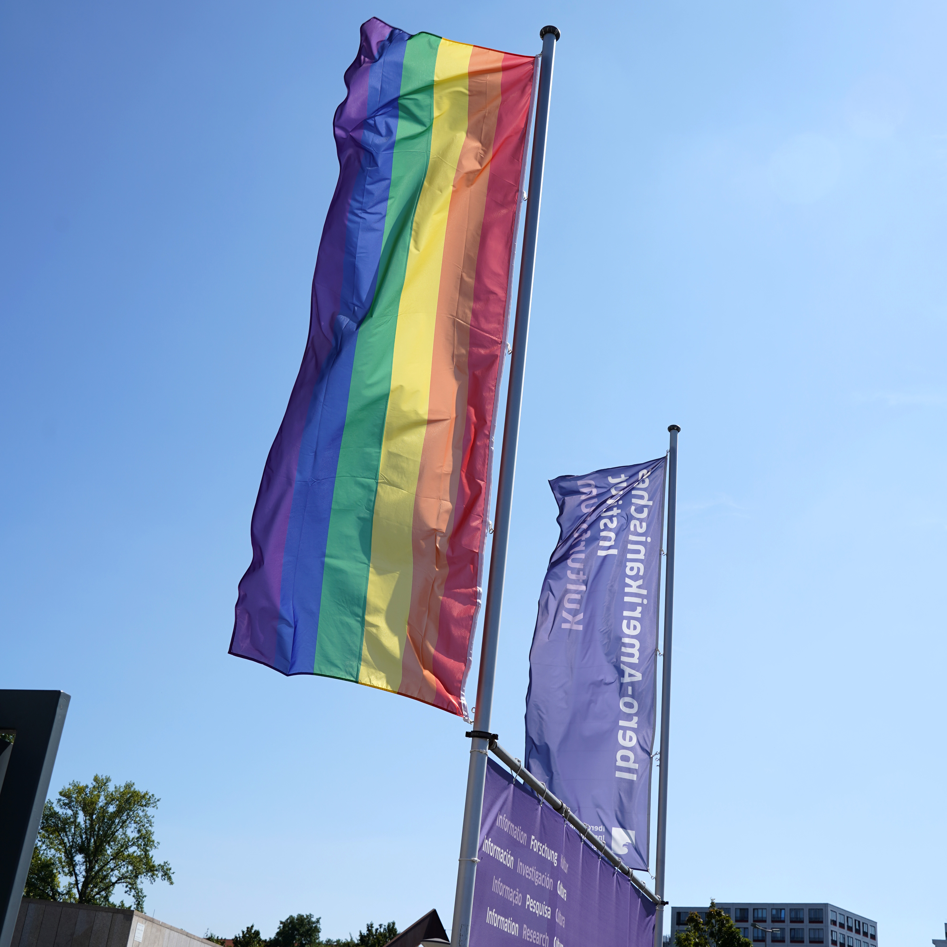 Rainbow flag with the IAI flag (opens enlarged image)