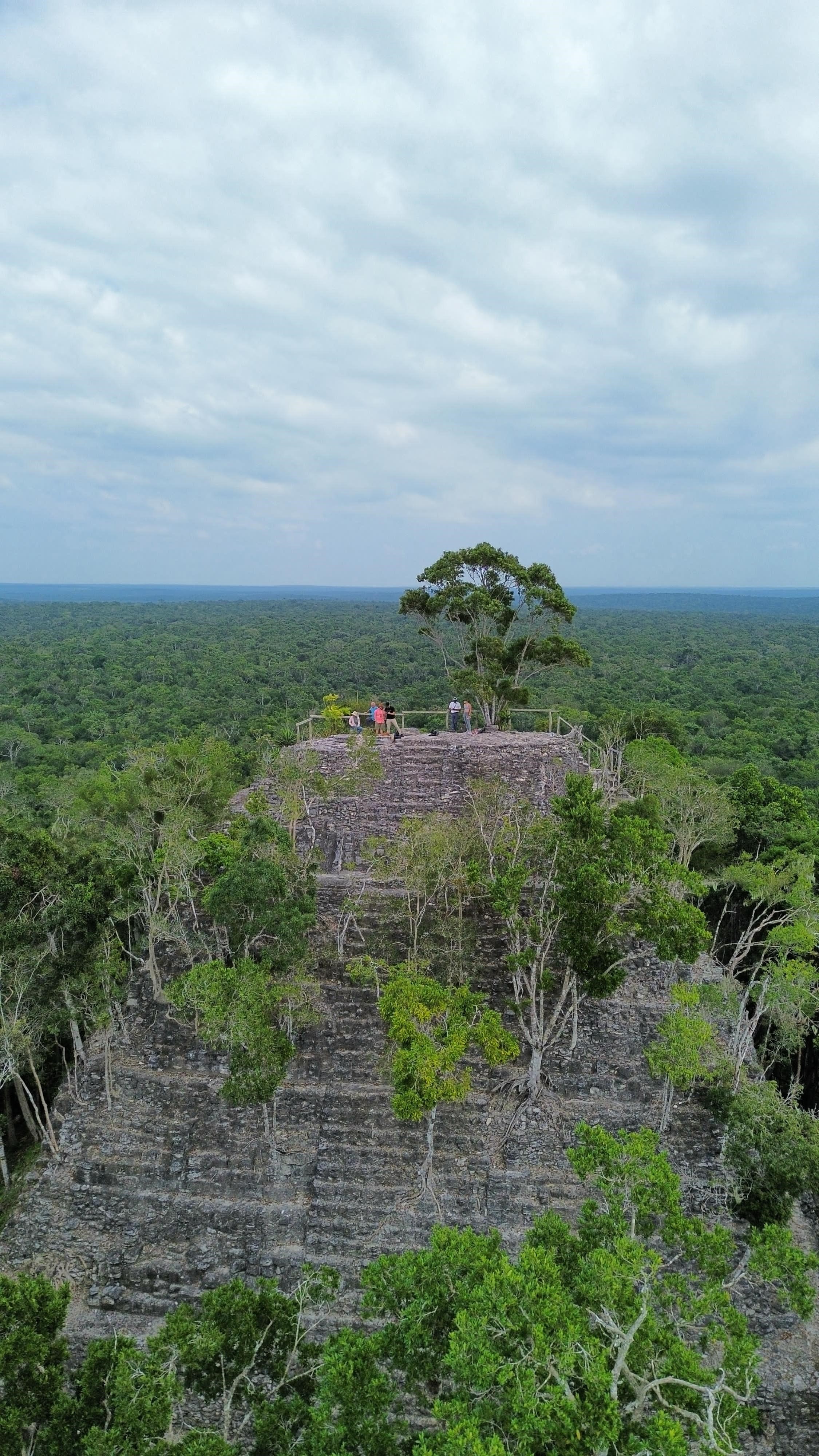 Foto: Blick auf den Mirador umgeben von Natur (öffnet Vergrößerung des Bildes)