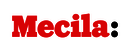 Logo: Mecila – Maria Sibylla Merian Centre Conviviality-Inequality in Latin America