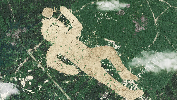 Künsterisches Bild im Stil einer Luftaufnahme des Amazonas mit anscheinend gerodeten Flächen in Form einer Figur