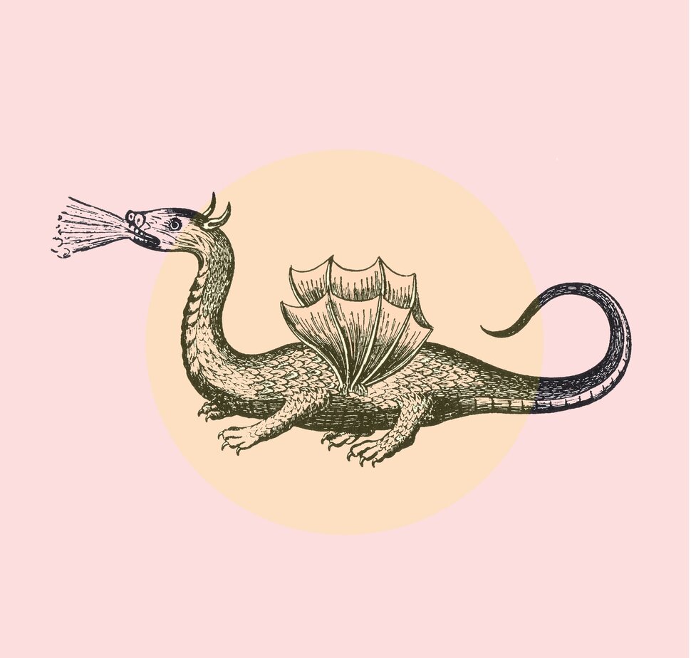 Illustration eines feuerspeienden Drachens (öffnet Vergrößerung des Bildes)