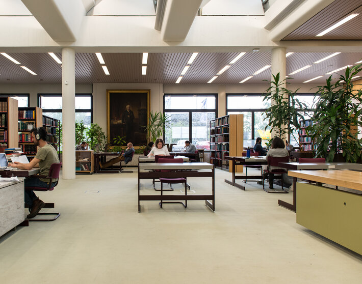 Varios usuarios sentados en las mesas de la sala de lectura leyendo (abre una ampliación de la imagen)