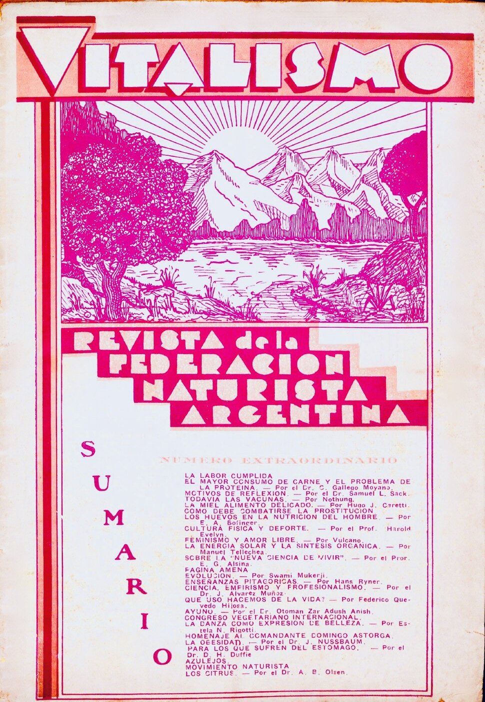 Zeitschriftencover mit Illustration von Bergen und Landschaft