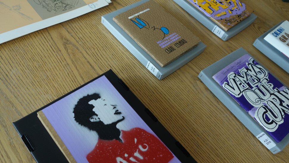 Publikationen mit Buchcovers aus Pappa